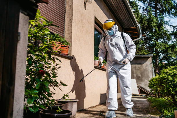 Best Affordable Pest Control Services  in St Clair, PA